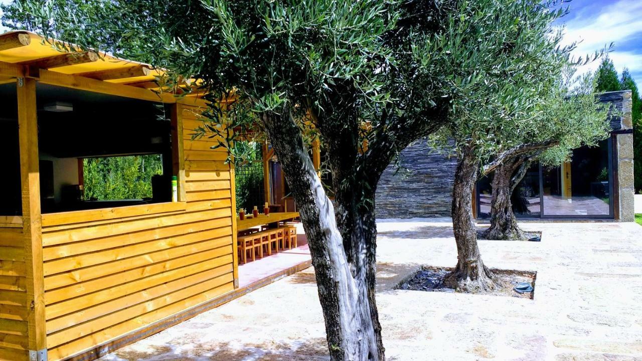 Casa Do Prado Guesthouse Vila Real Εξωτερικό φωτογραφία