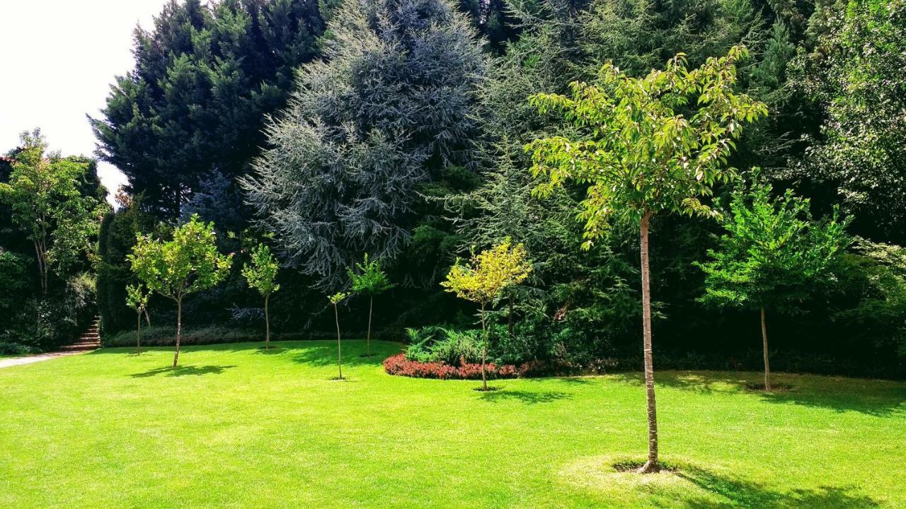 Casa Do Prado Guesthouse Vila Real Εξωτερικό φωτογραφία